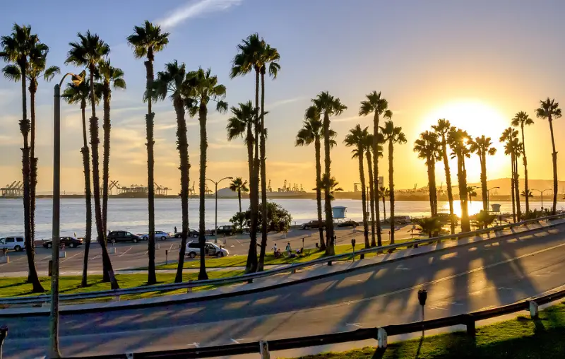 Coastal road sunset in Long Beach, California.